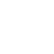 TikTok (main)